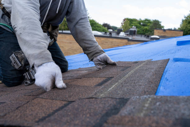 Professional Roofing Contractor in Wheeler, TX