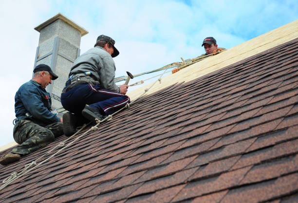 Best Roof Gutter Cleaning  in Wheeler, TX