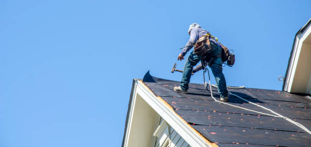 Roof Gutter Cleaning in Wheeler, TX